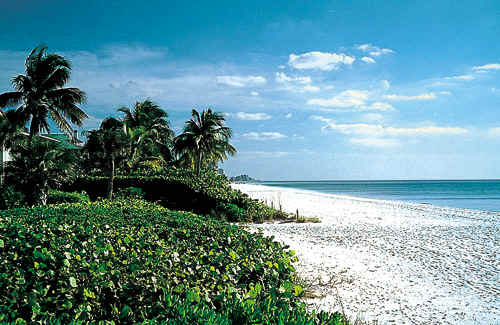  . . your place in the United States for Naples Florida holiday homes and Naples vacation rentals!   