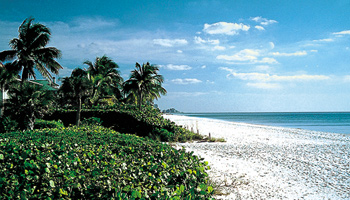 . . . is der Platz in den USA, un in Naples Florida einen unvergesslichen Urlaub in einer Ferienvilla order Urlaubshaus Ihrer Wahl zu verbringen.